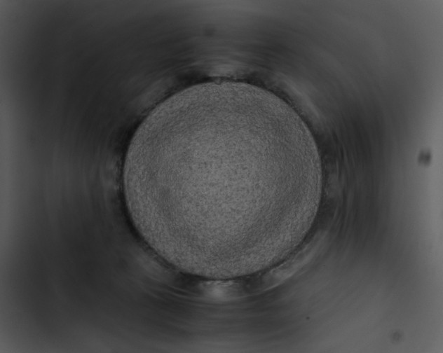 X0000102840273200809081227