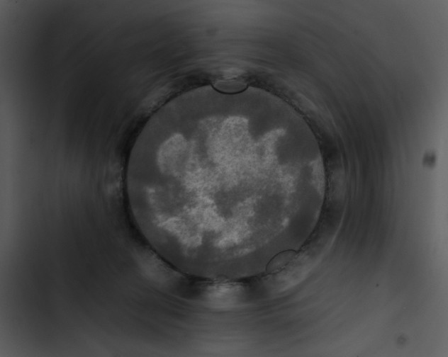 X0000102840274200809081227