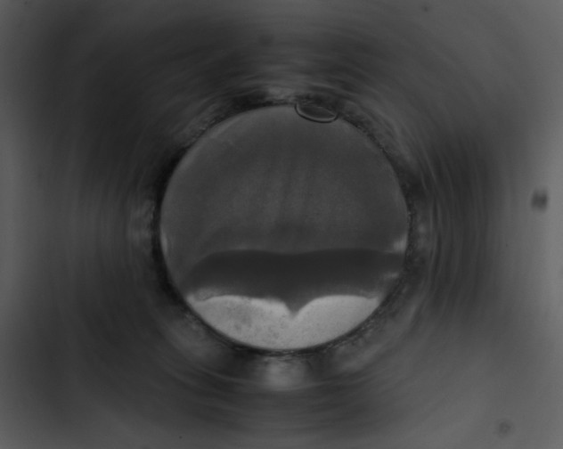 X0000102840275200809081227