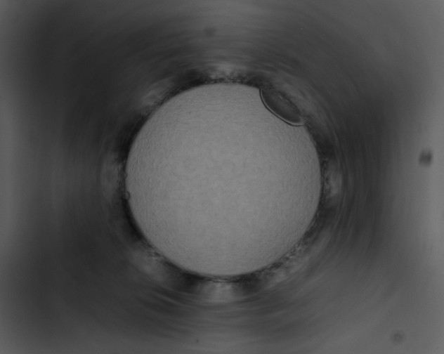 X0000102840276200809081227