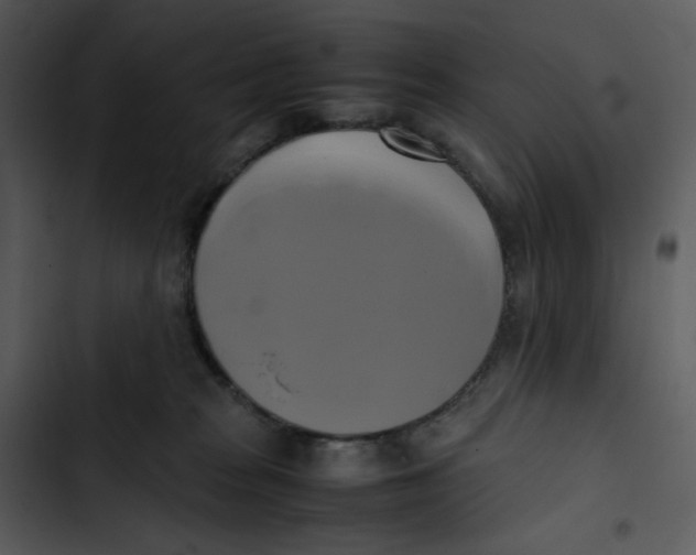 X0000102840277200809081227