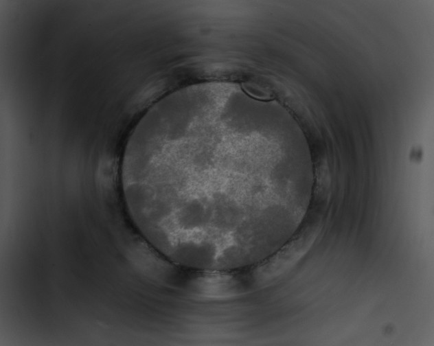 X0000102840278200809081227