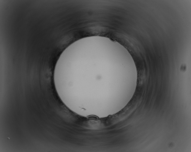 X0000102840279200809081227