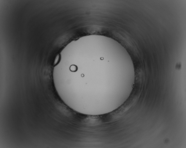 X0000102840280200809081227