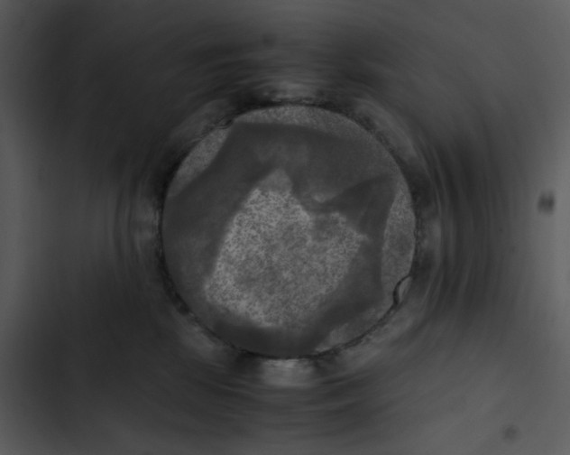 X0000102840281200809081227