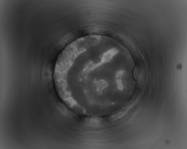 X0000102840282200809081227