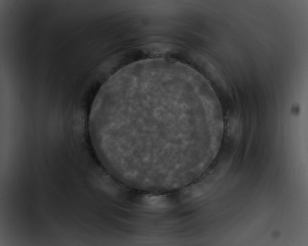 X0000102840283200809081227