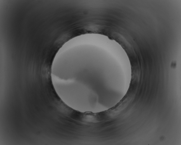 X0000102840285200809081227