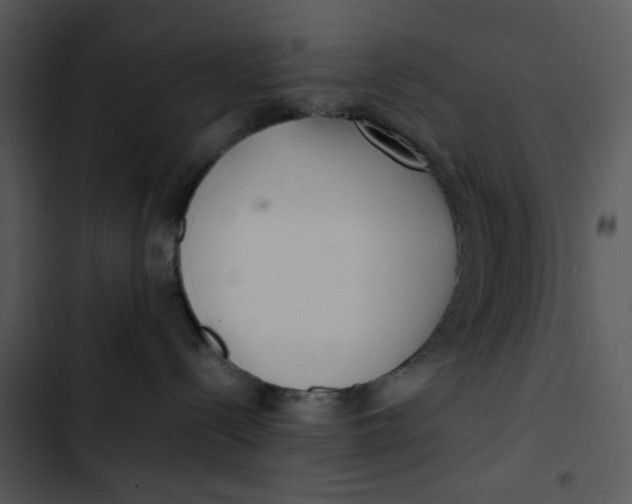 X0000102840288200809081227