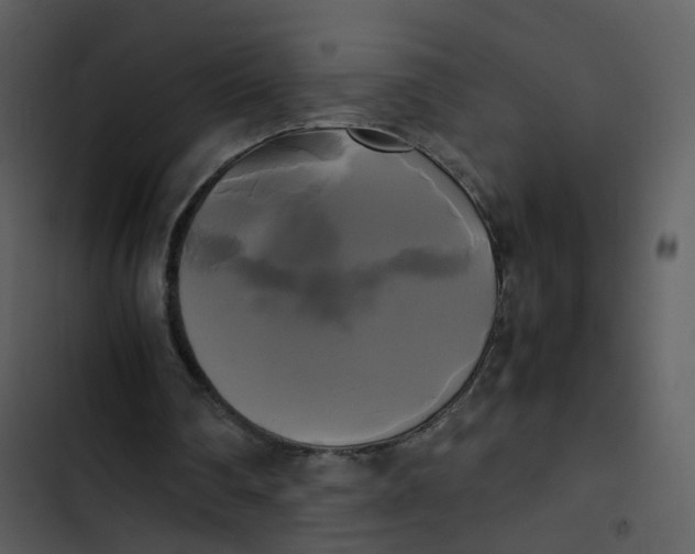 X0000102840290200809081226