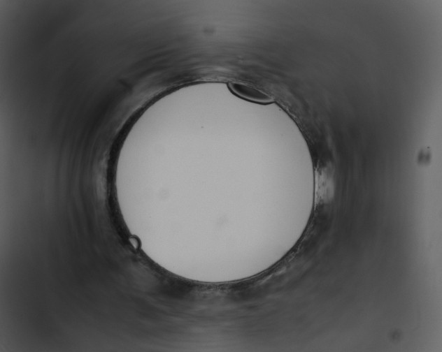 X0000102840291200809081226