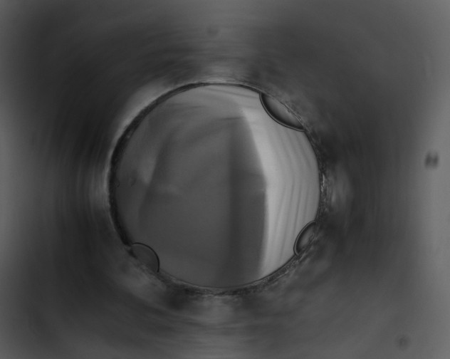 X0000102840292200809081226