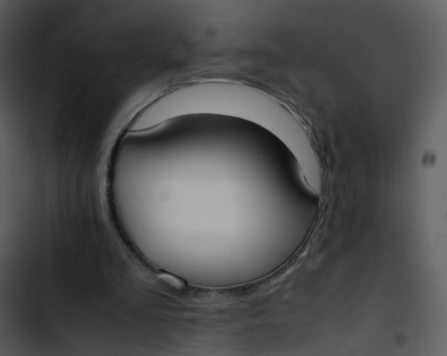 X0000102840293200809081226