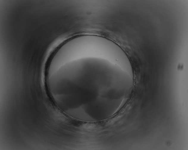 X0000102840294200809081226