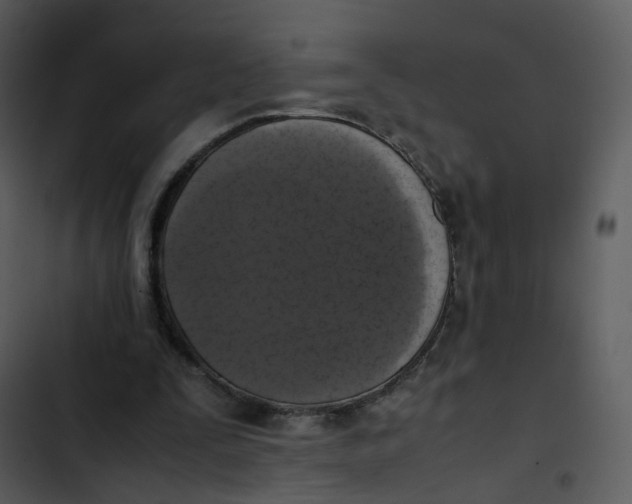 X0000102840295200809081226