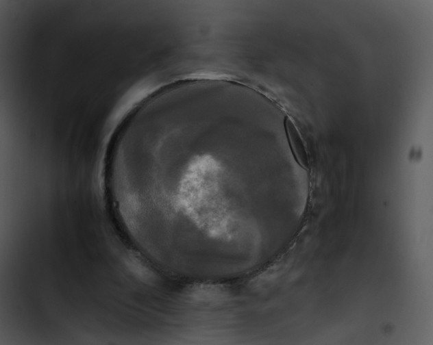 X0000102840296200809081226