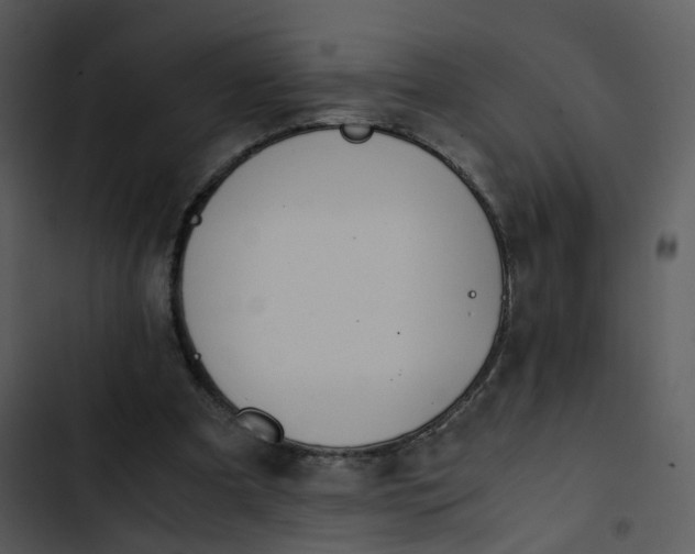 X0000102840297200809081226