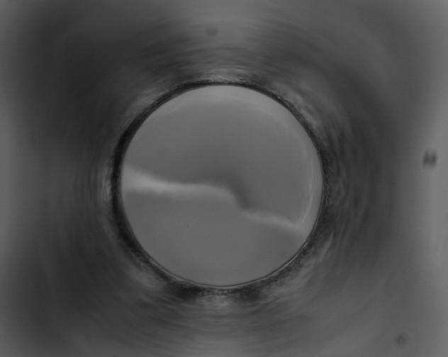 X0000102840299200809081226