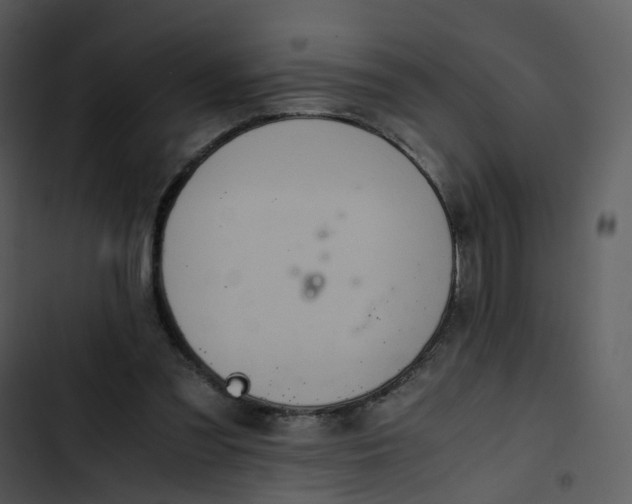 X0000102840301200809081226