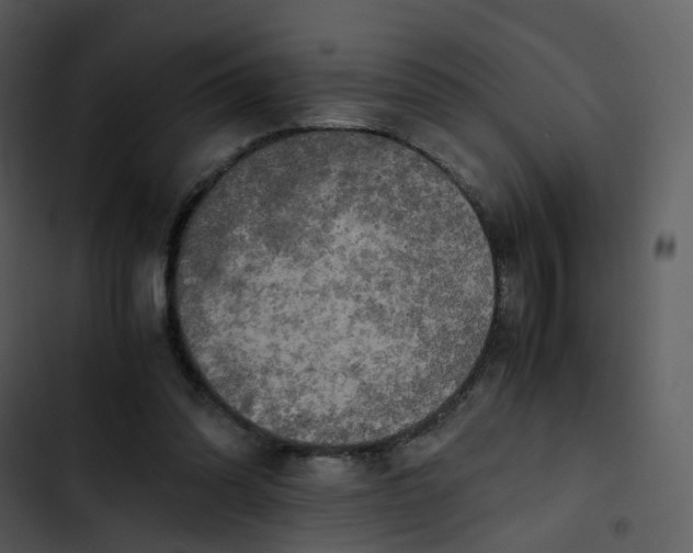 X0000102840302200809081226