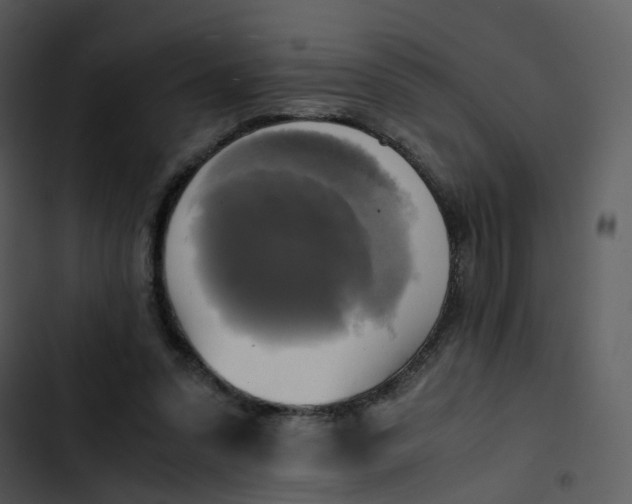 X0000102840303200809081226