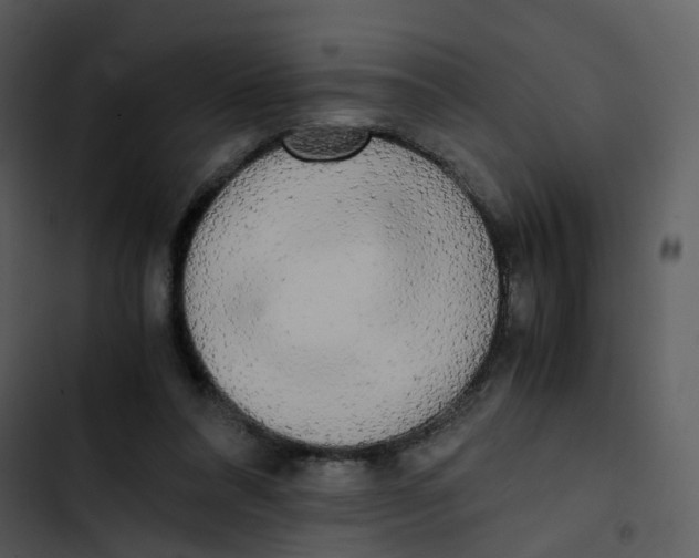 X0000102840304200809081226