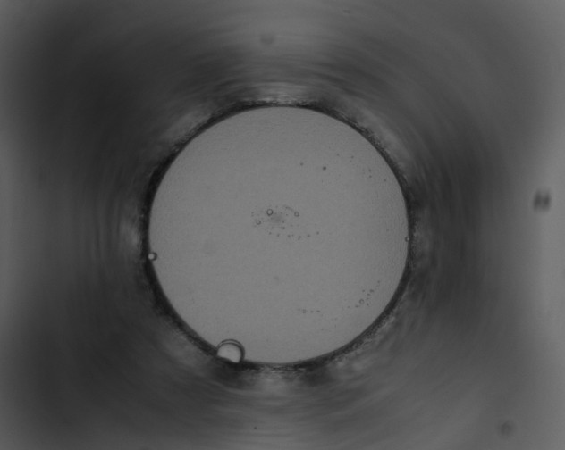 X0000102840305200809081226