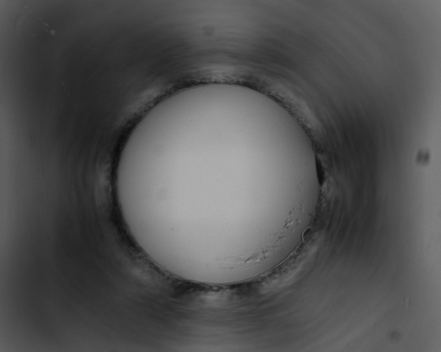 X0000102840306200809081226