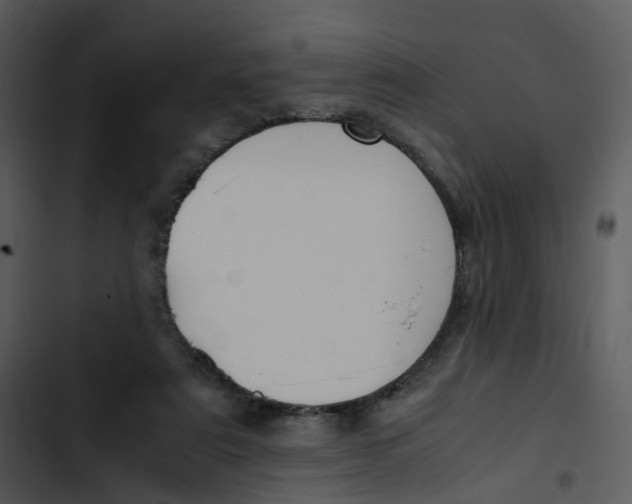 X0000102840307200809081226