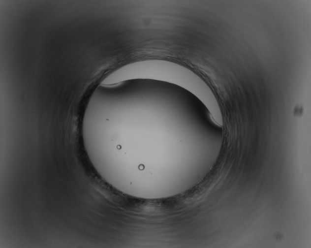 X0000102840308200809081226