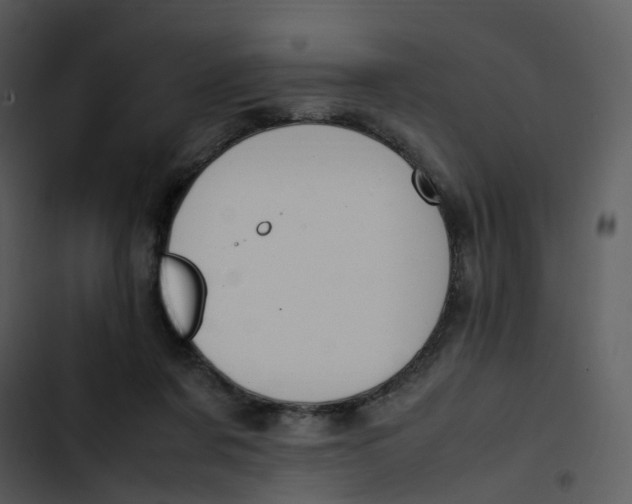 X0000102840311200809081226