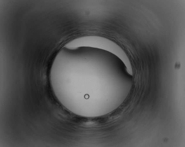 X0000102840312200809081226