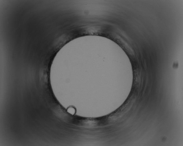 X0000102840313200809081226