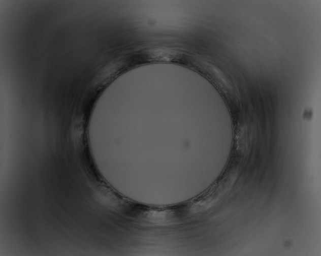 X0000102840314200809081226