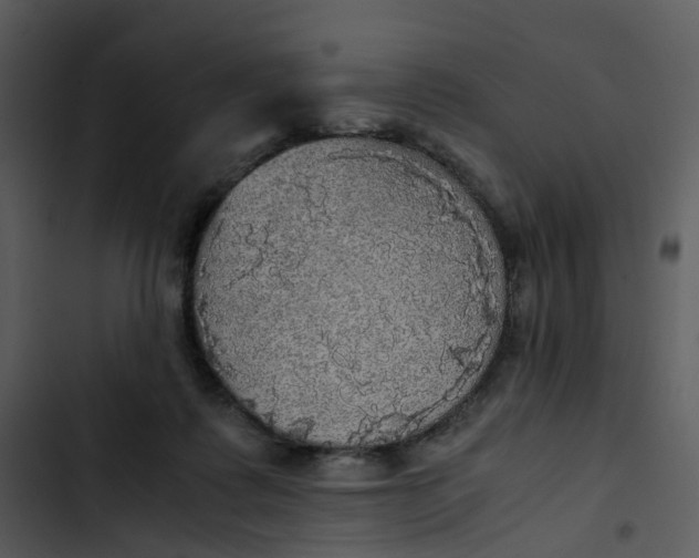 X0000102840315200809081226