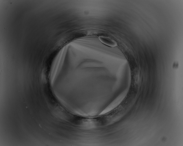 X0000102840316200809081226