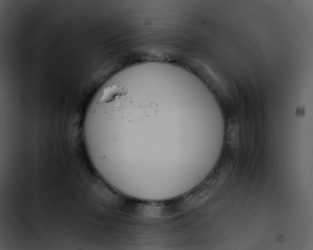 X0000102840318200809081226