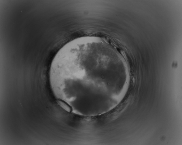 X0000102840319200809081226