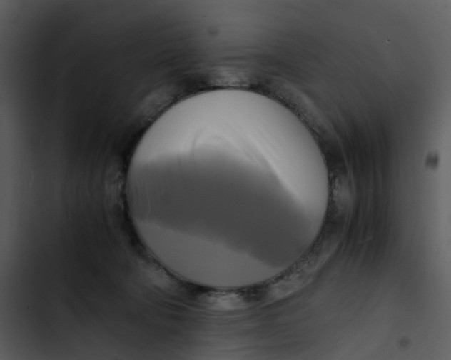 X0000102840322200809081226