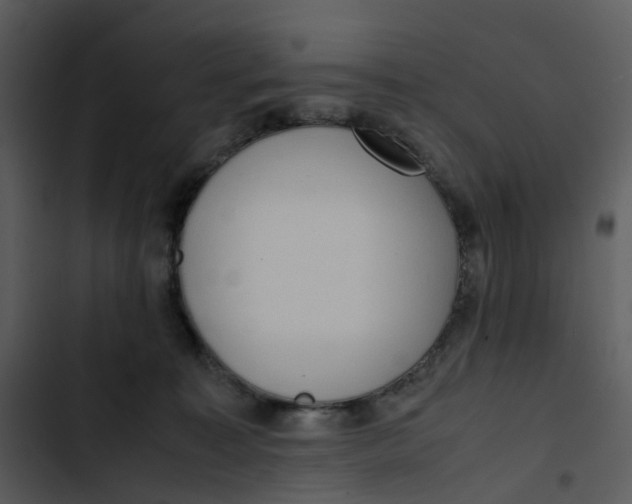 X0000102840323200809081226