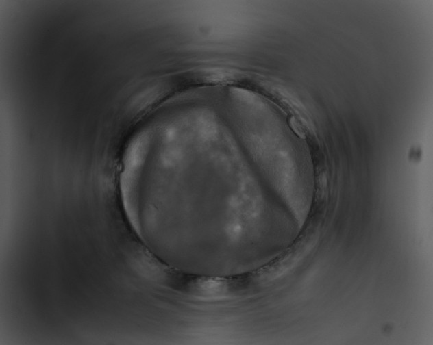 X0000102840325200809081226