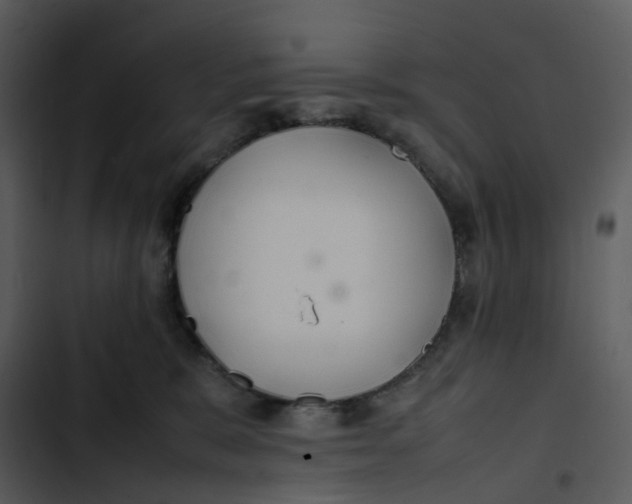 X0000102840327200809081226