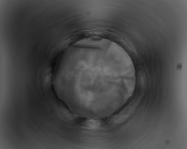 X0000102840328200809081226