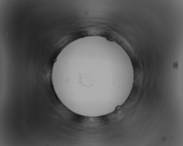 X0000102840329200809081226