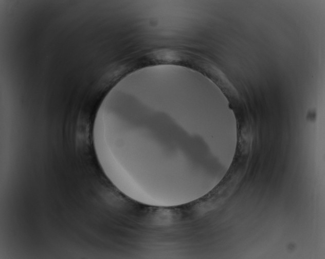 X0000102840330200809081226