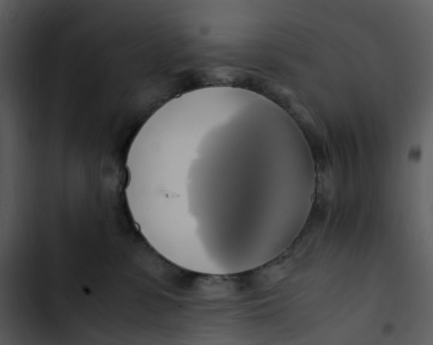 X0000102840331200809081226