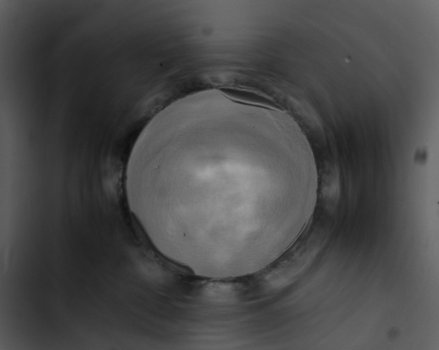 X0000102840332200809081226