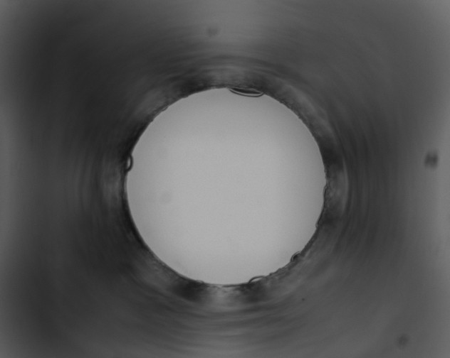 X0000102840333200809081226