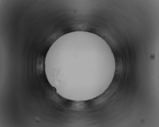 X0000102840334200809081226