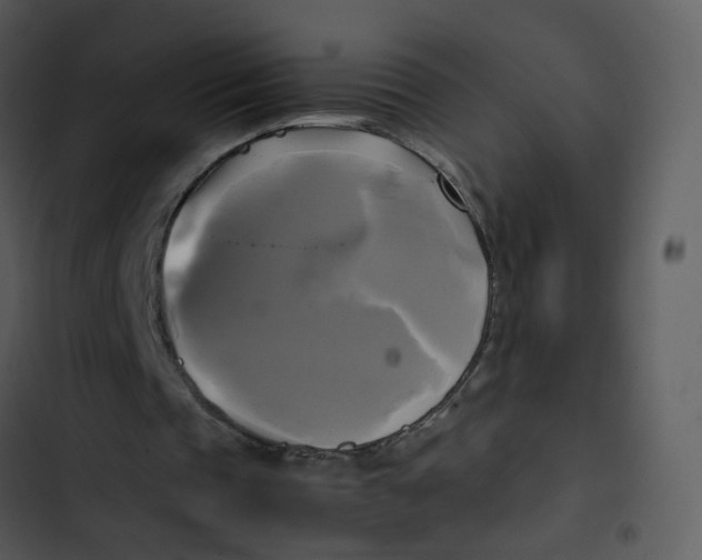 X0000102840337200809081225